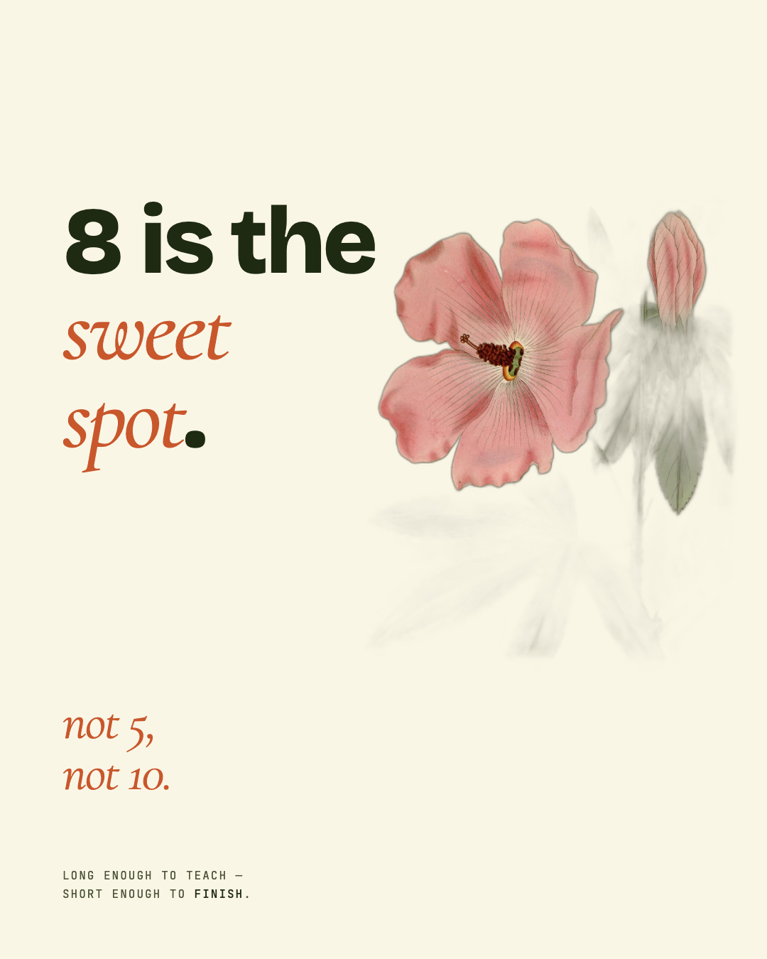 Magazine Beige Green — 8 Slide Rule preview