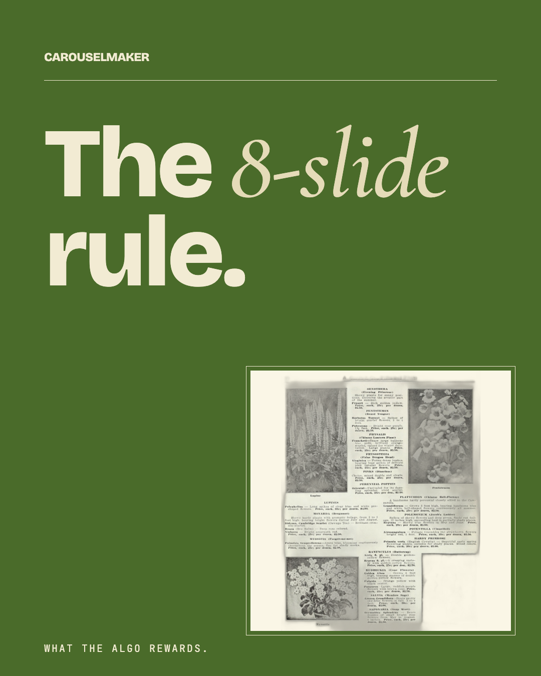 Slide 1